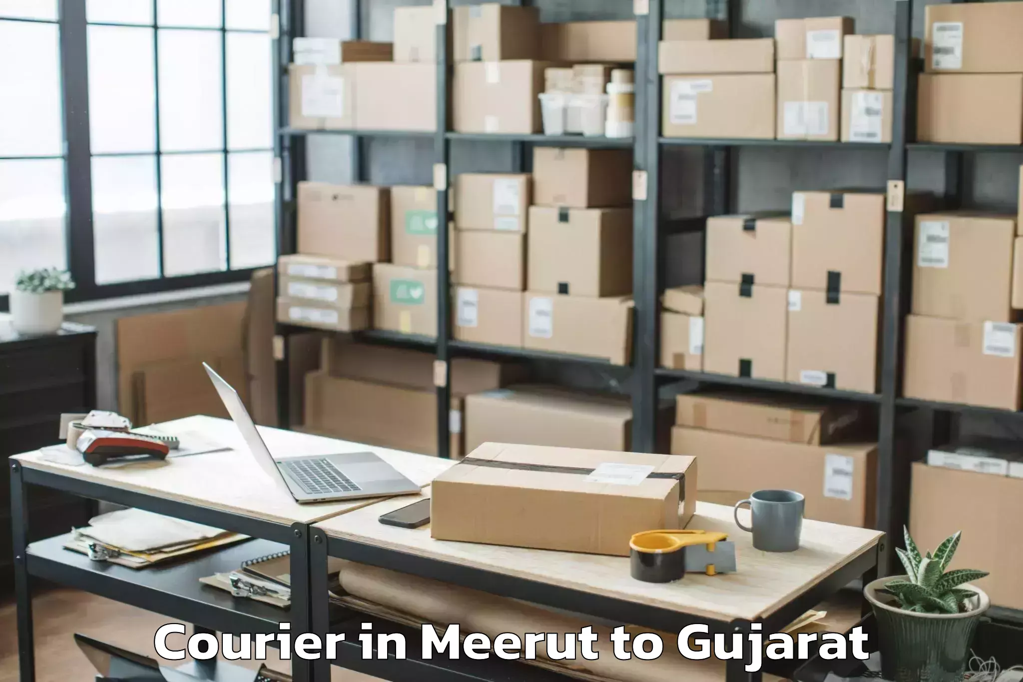 Expert Meerut to Umrala Courier